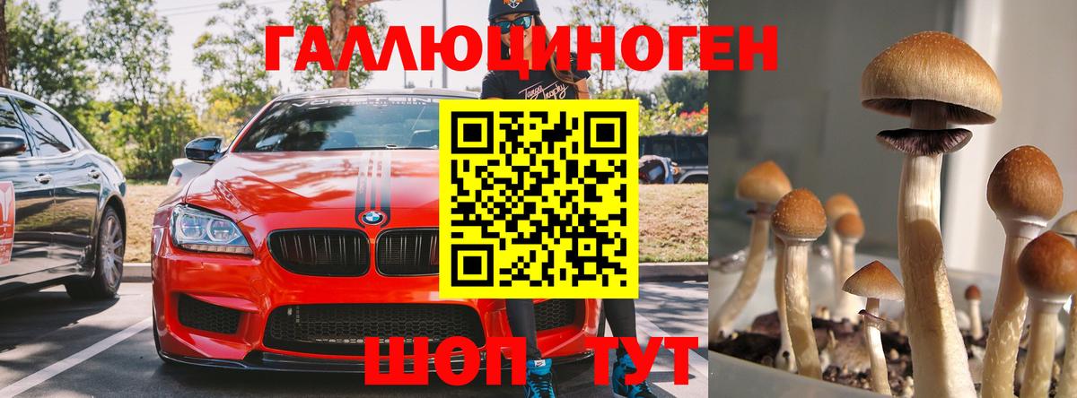 Нурлат  Псилоцибиновые грибы ЛСД  сколько стоит  Галлюциногенные грибы мицелий  Вход с VPN 