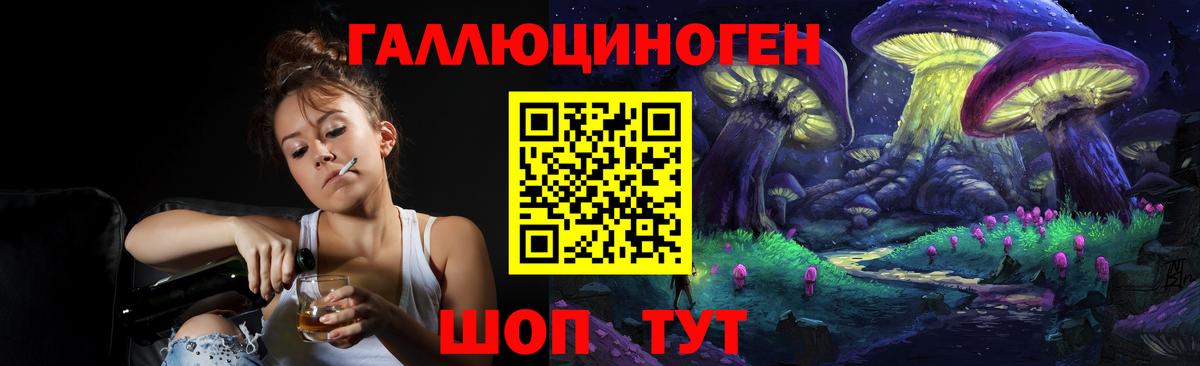 Галлюциногенные грибы Psilocybe Нурлат