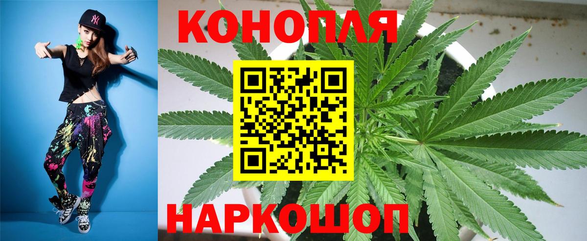 Бошки марихуана планчик  МАРИХУАНА семена  Вход с VPN  Нурлат  Канабис планчик 